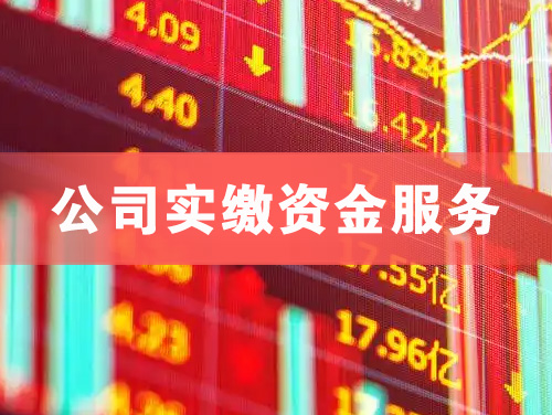 虎林公司实缴资金服务