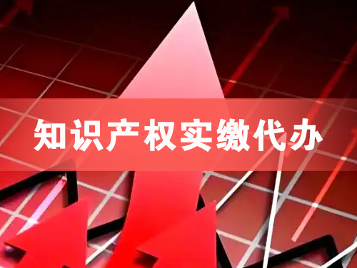 虎林知识产权实缴资本代办